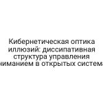 Кибернетическая оптика иллюзий: диссипативная структура управления вниманием в открытых системах